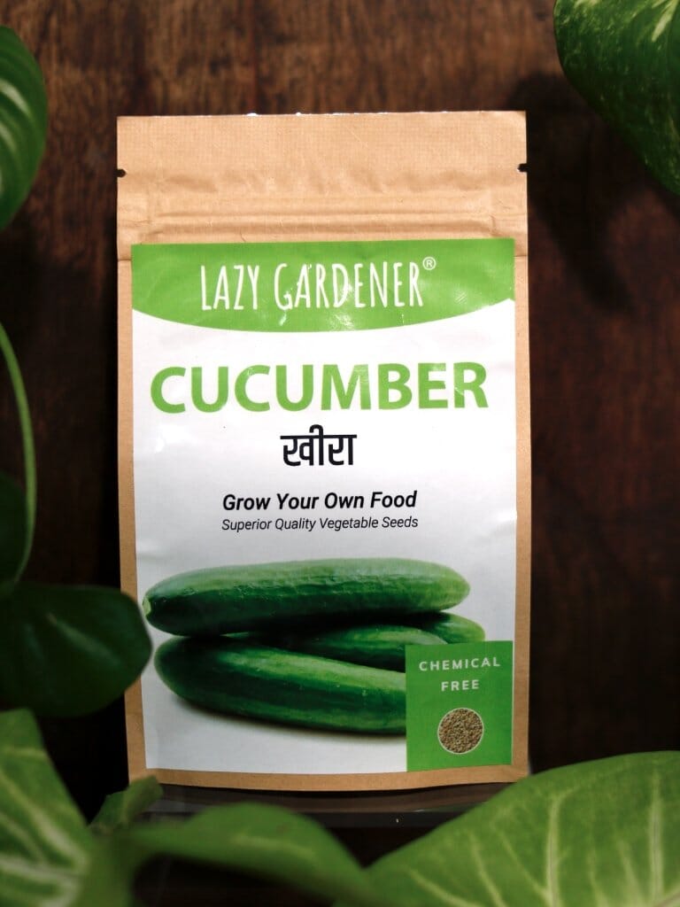 Summer Veggies Grow Kit (Brinjal, Okra, Cucumber) Grow Kit LazyGardener 