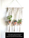 Tai Chi Macramé Hanger Macrame Plant Hanger LazyGardener 