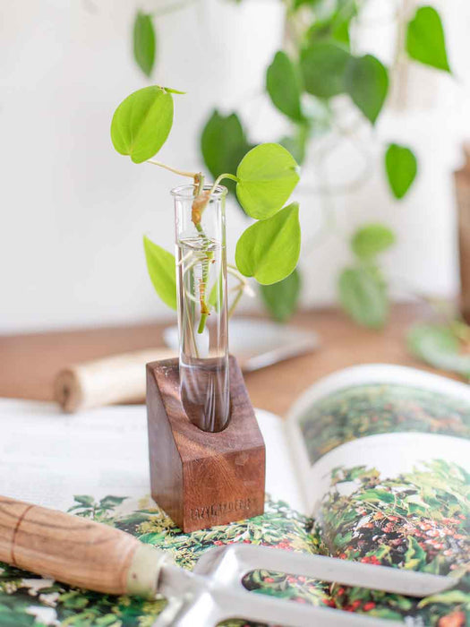 Timber Grove Solo (Table Top) Wooden single test tube planter LazyGardener Pack of 1 