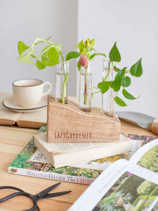 Indoor Tabletop Planters  Timber Grove Trio Table Top Planter — Lazy  Gardener - Online Gardening Store India