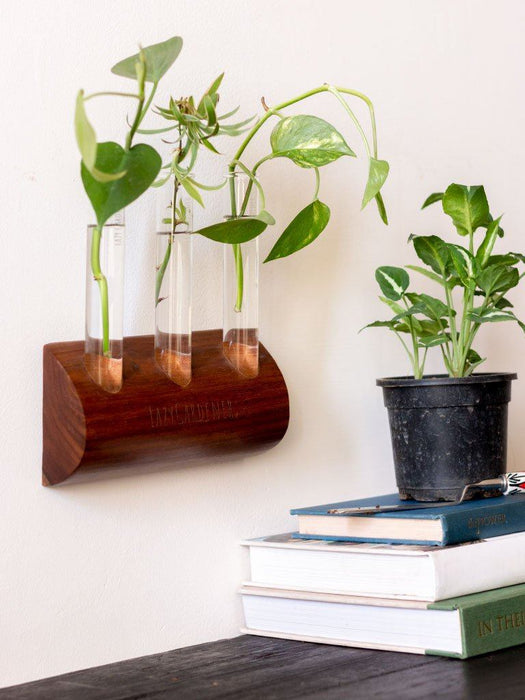 Wall Mounted Planters  Timber Grove Trio — Lazy Gardener - Online