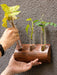 Timber Grove Trio (Wall-Mounted) Wooden Glass Tube Planter LazyGardener 